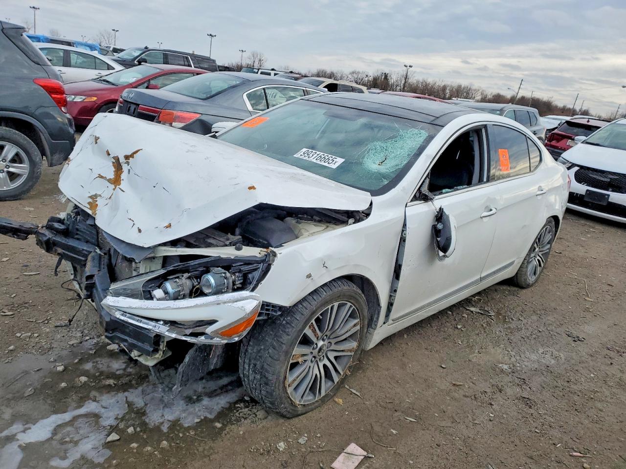 Salvage Kia Cadenza Image