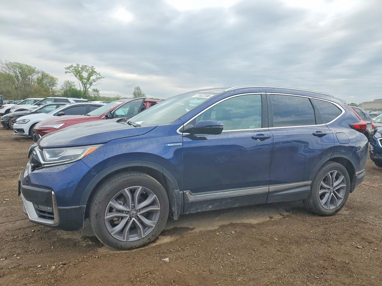 Salvage Honda Crv Image