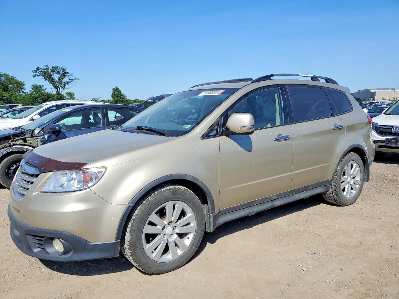 Salvage Subaru Tribeca Image