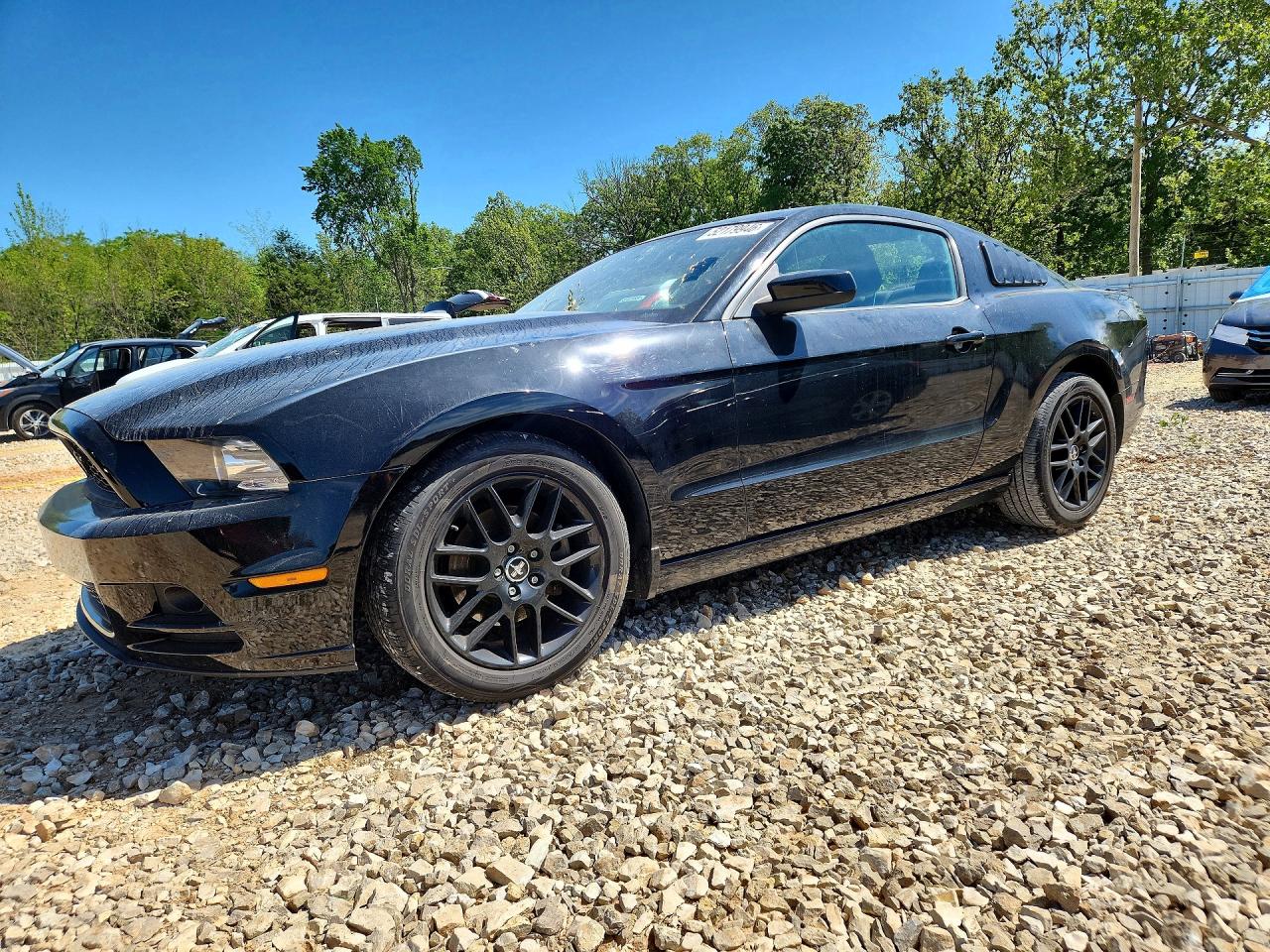 Salvage Ford Mustang Image
