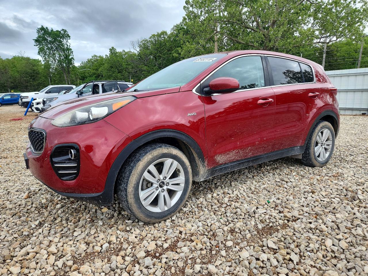Salvage Kia Sportage Image