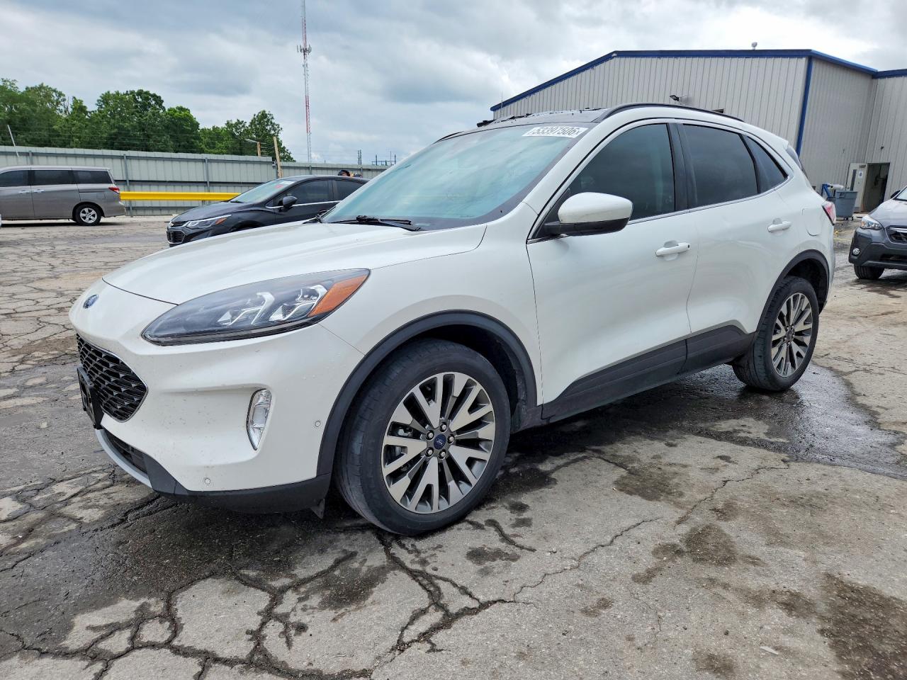 Salvage Ford Escape Image
