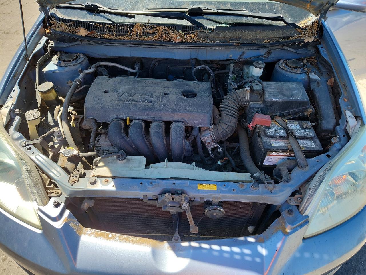 Toyota Corolla Xr
