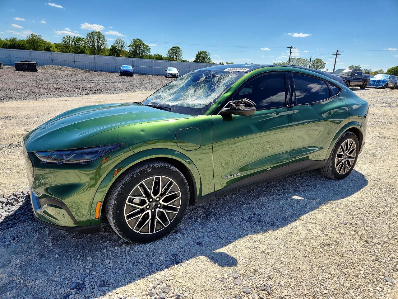 Salvage Ford Mustang Image