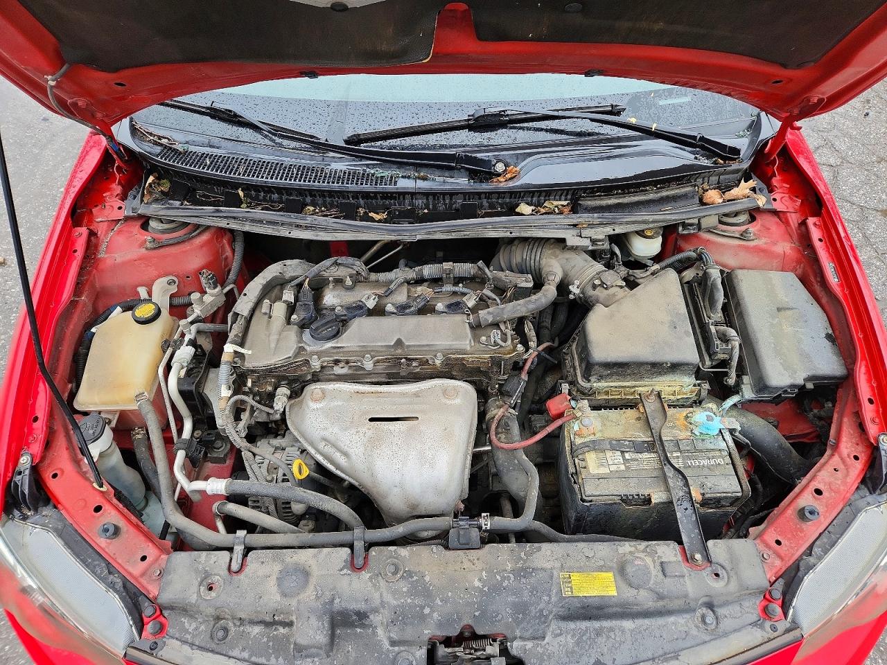 Scion TC Release Series 8.0