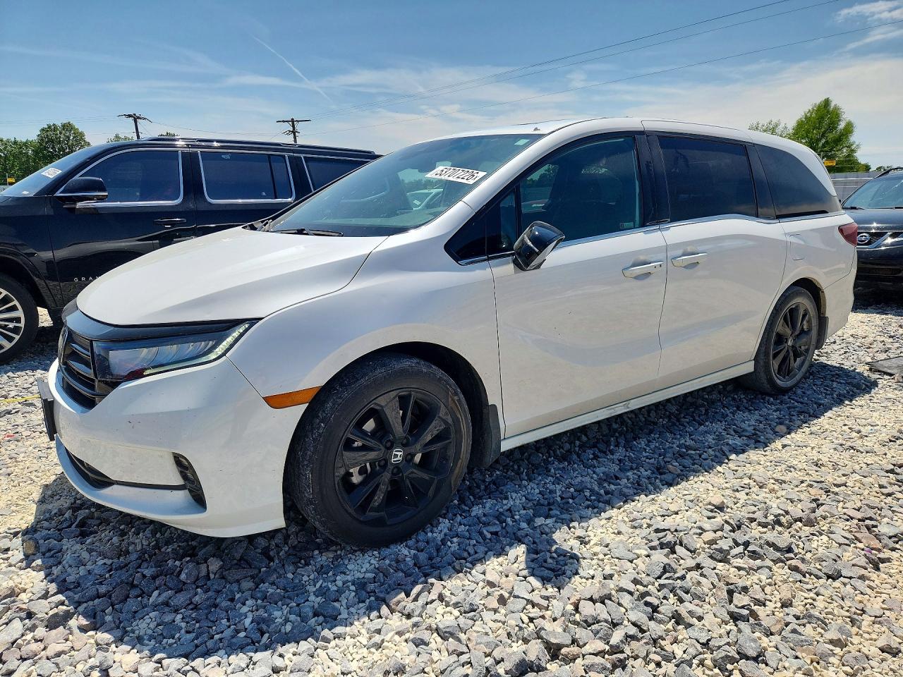 Salvage Honda Odyssey Image