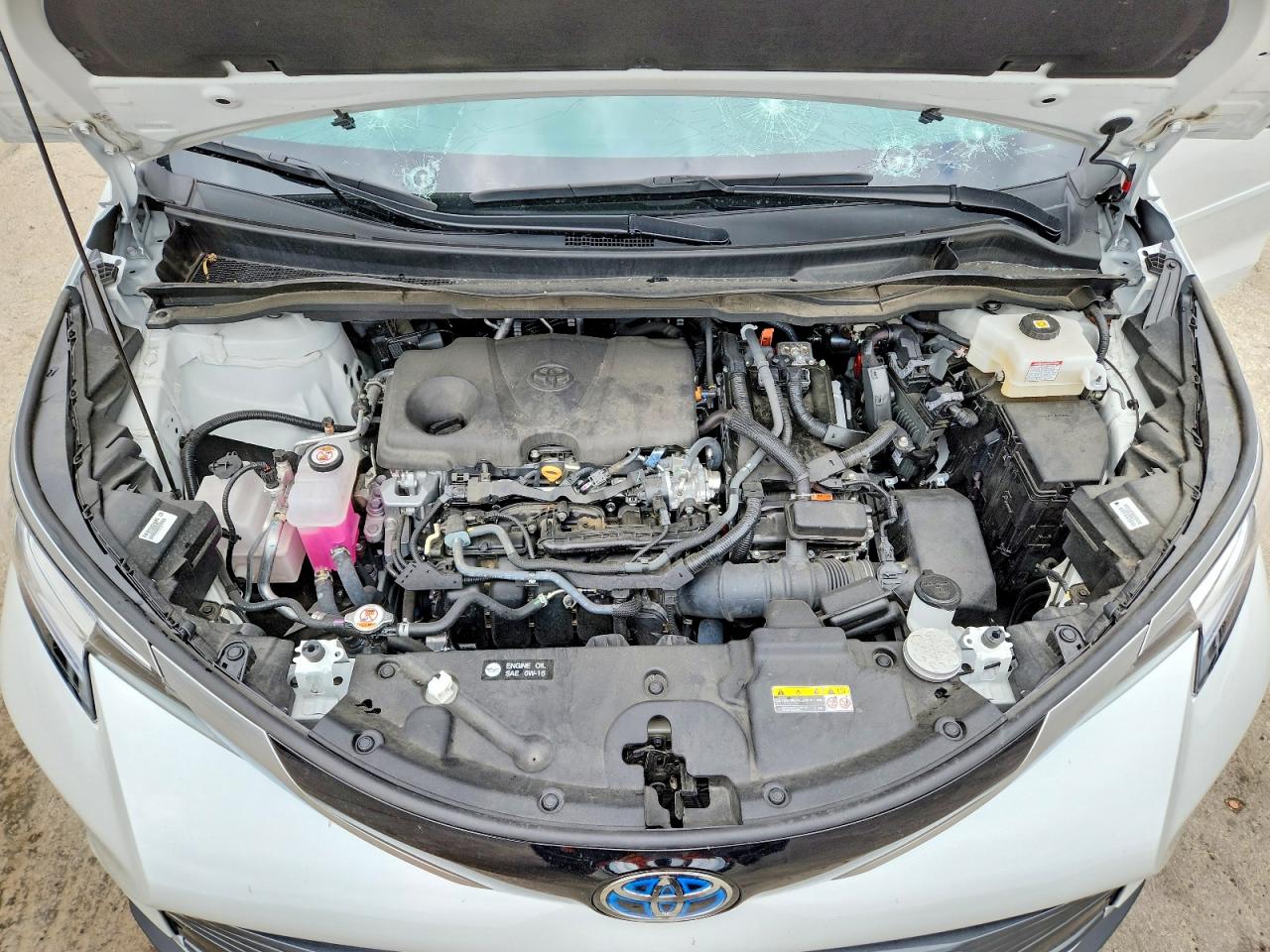 Toyota Sienna Limited 7-passenger
