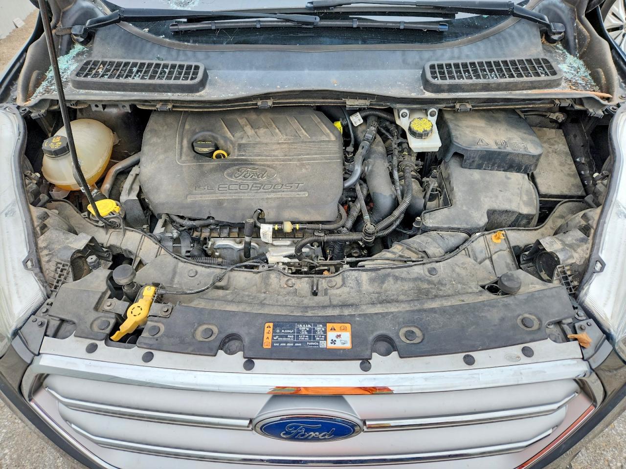Ford Escape Se