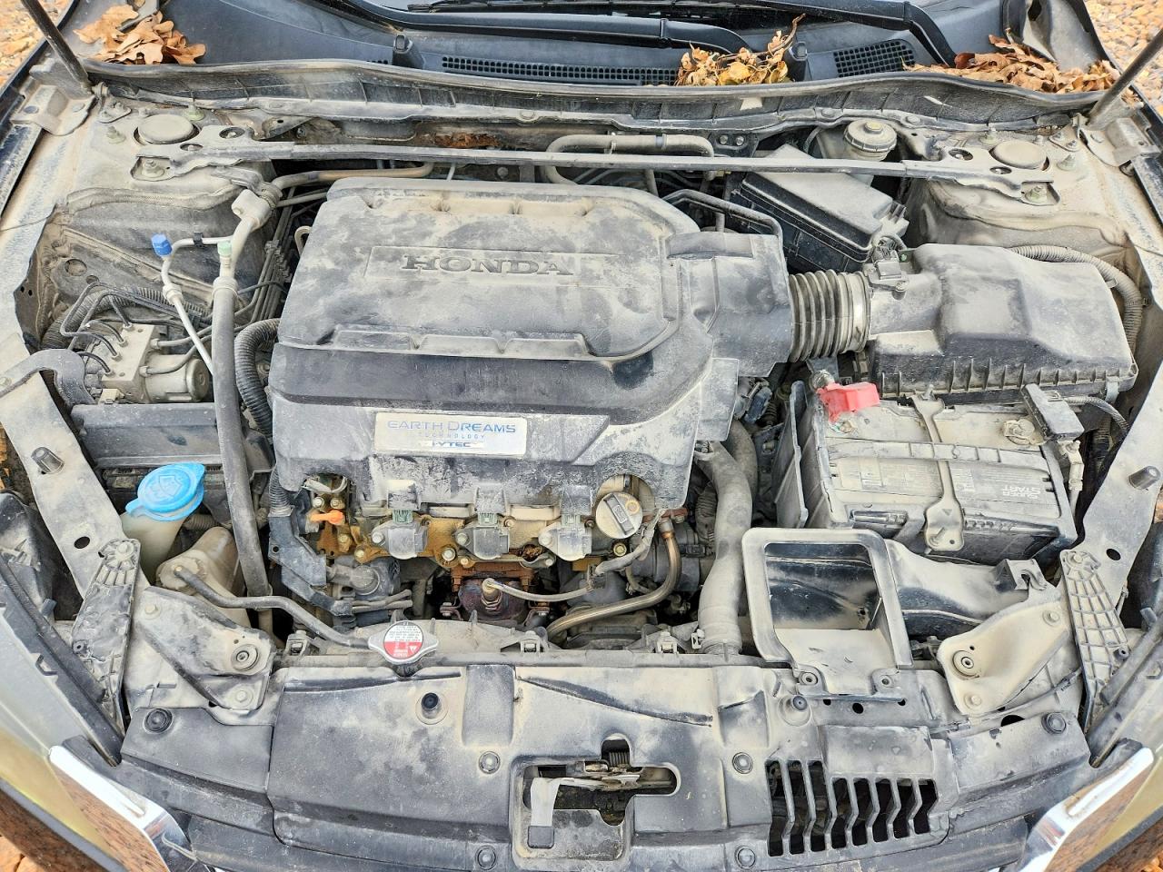 Honda Accord Exl