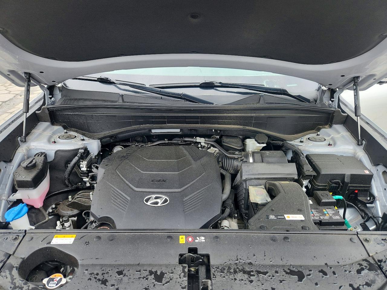 Hyundai PALISADE Calligraphy