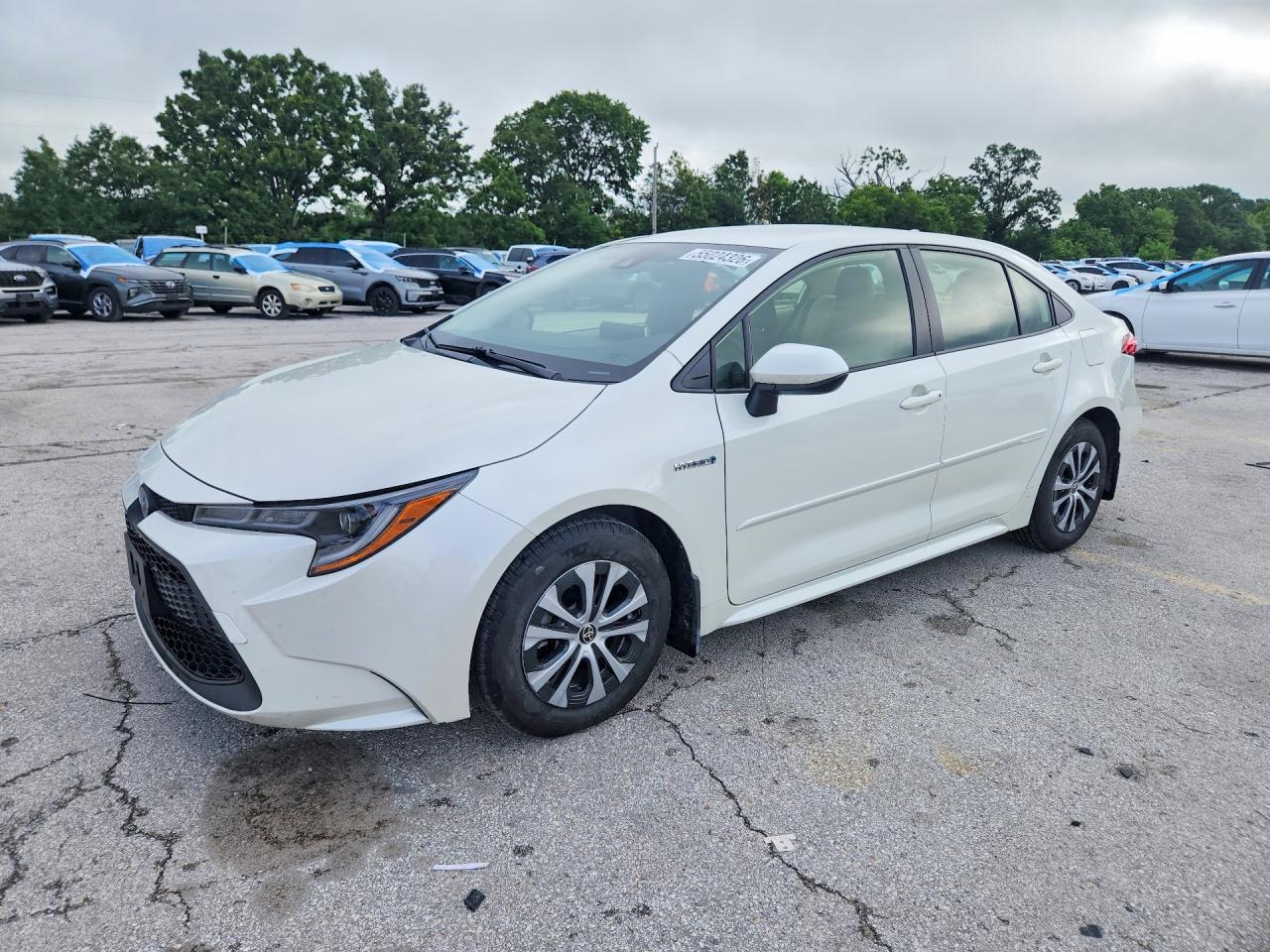 Salvage Toyota Corolla Image