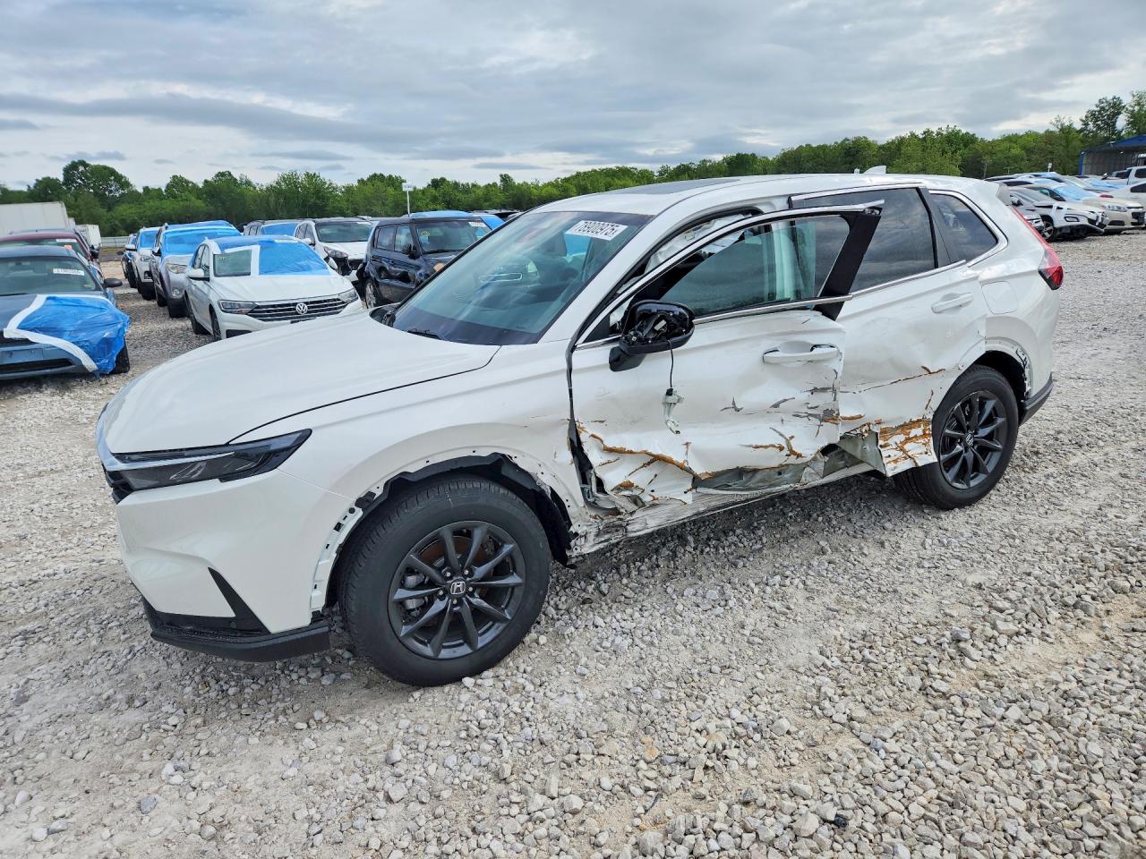 2026 Honda Crv