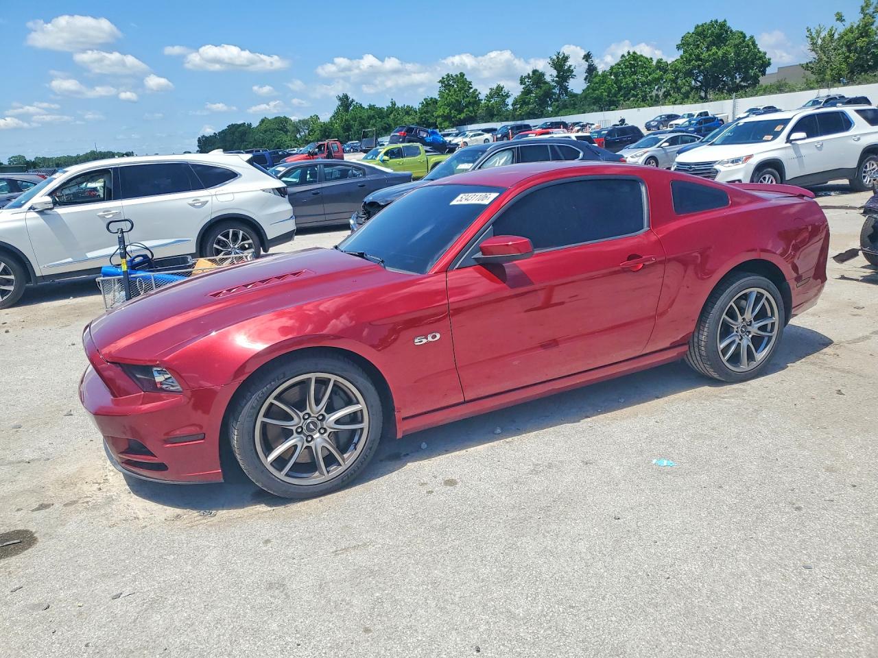 Salvage Ford Mustang Image