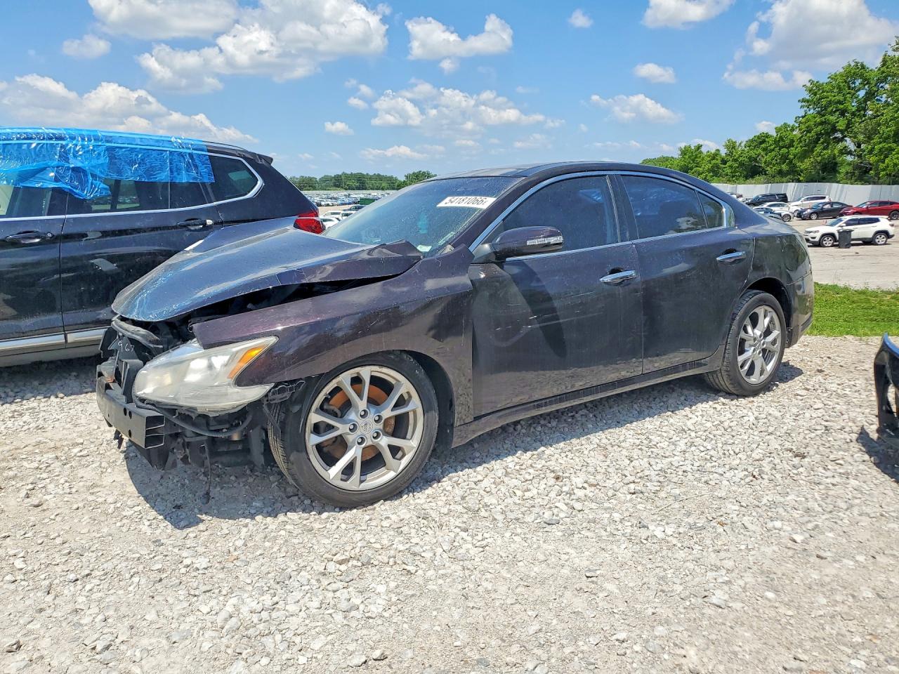 Salvage Nissan Maxima Image