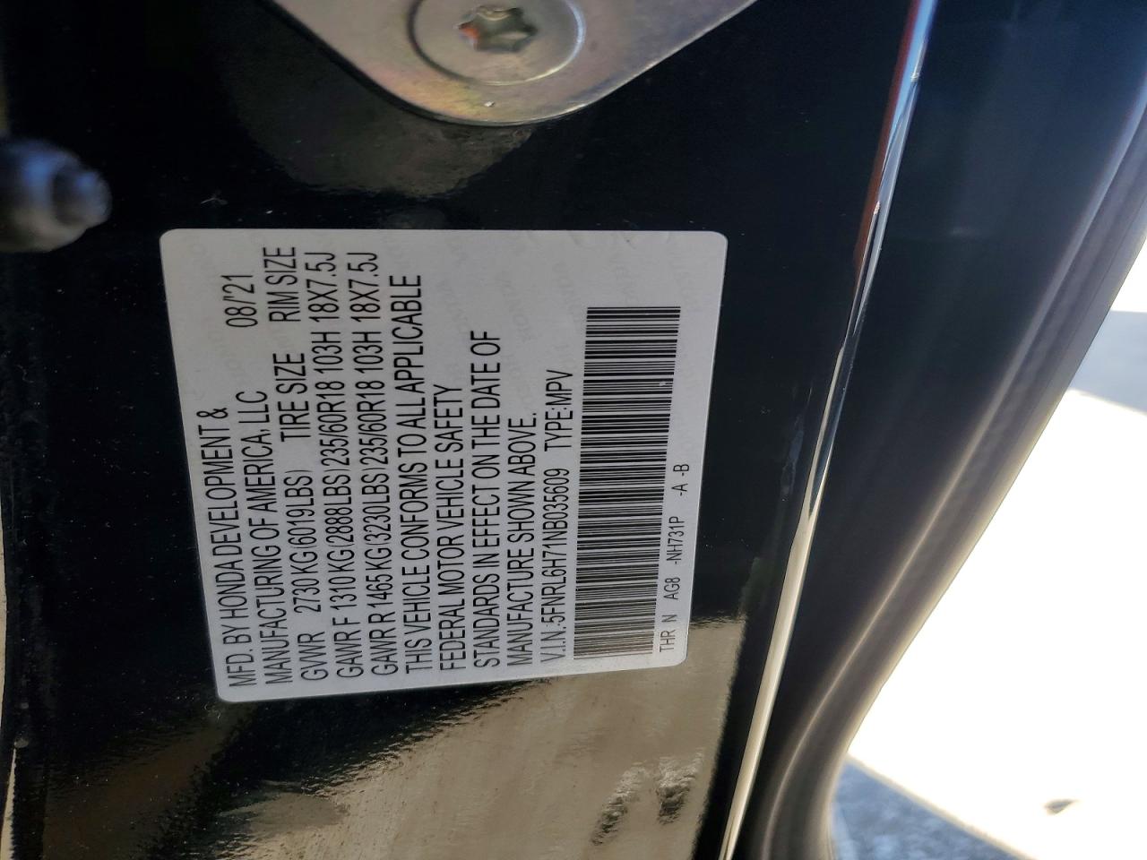 Honda Odyssey Exl