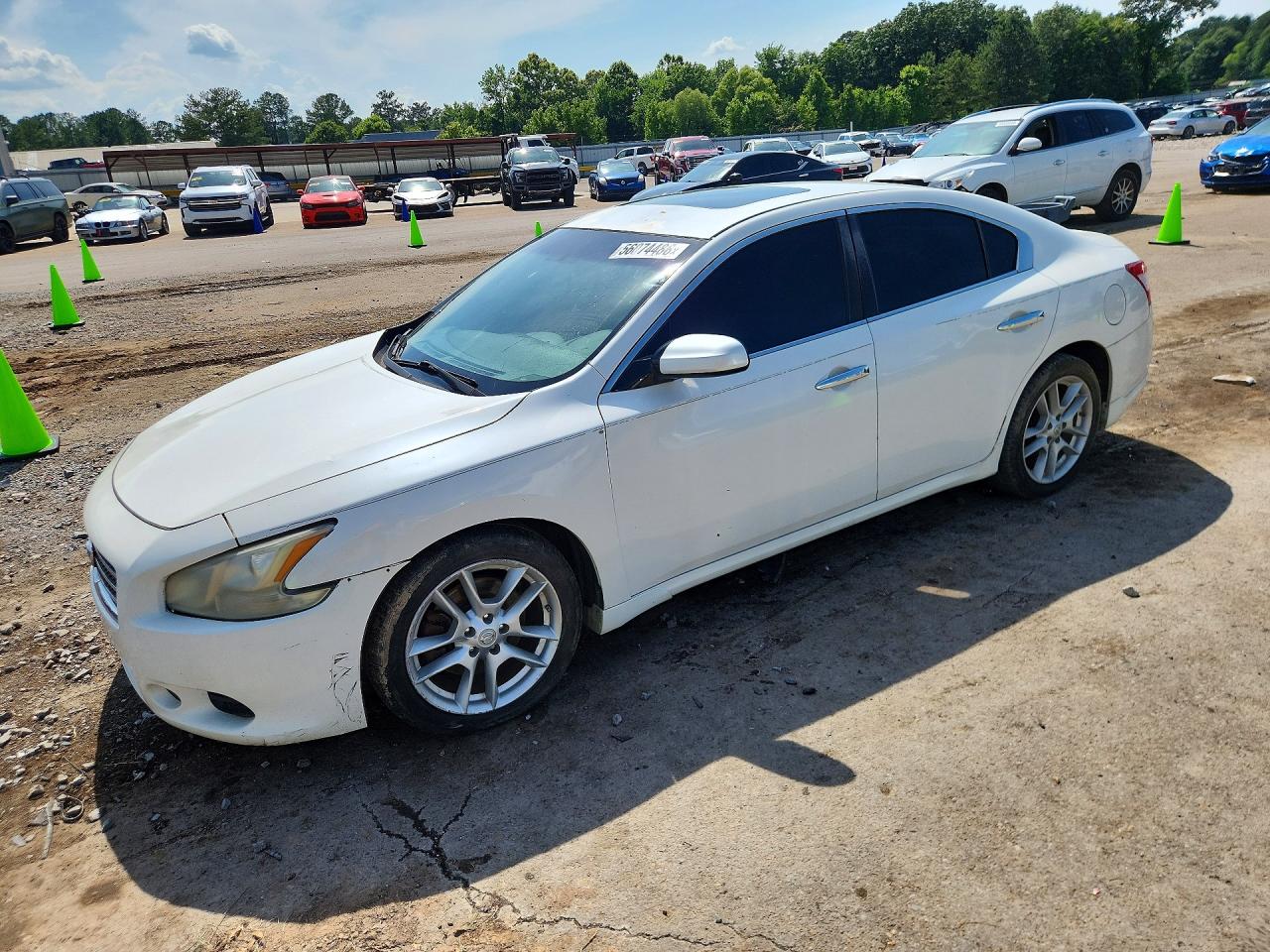 Salvage Nissan Maxima Image