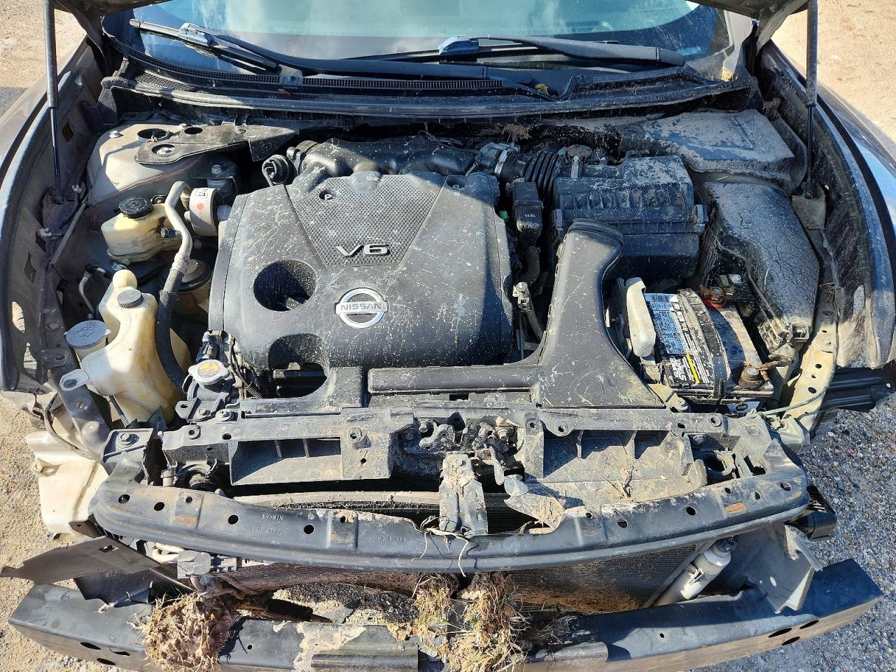 Nissan Maxima 3.5 S