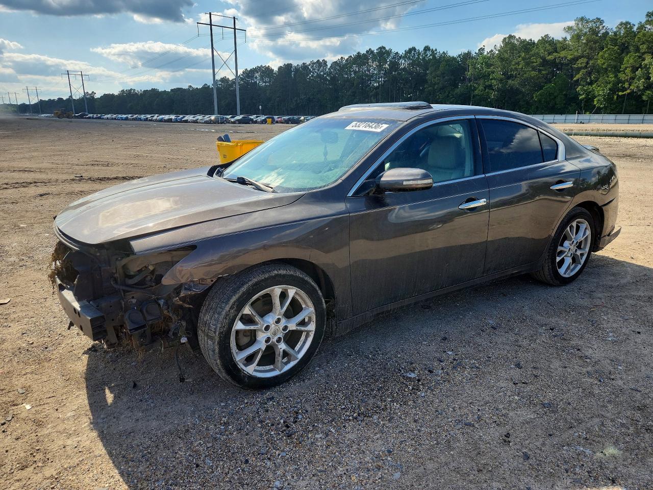 Salvage Nissan Maxima Image