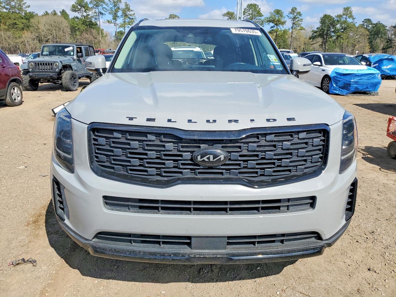 Kia Telluride Ex