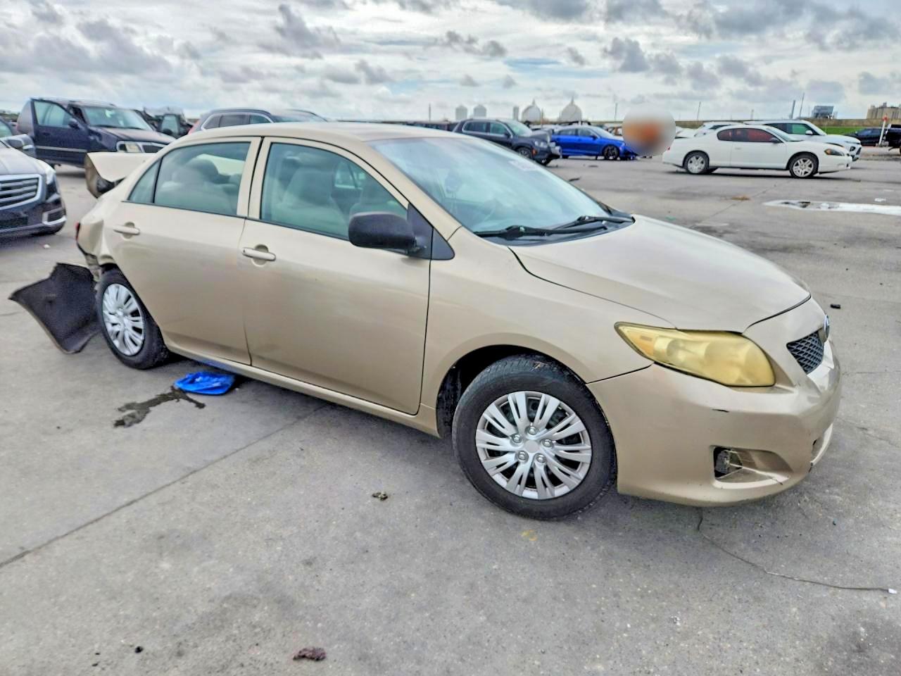 Toyo Corolla
