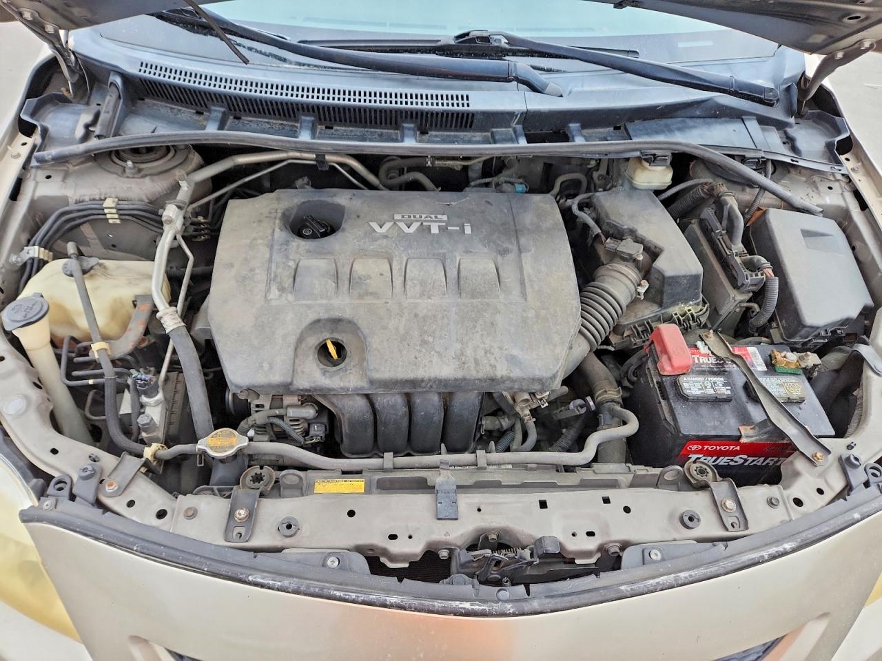 Toyo Corolla