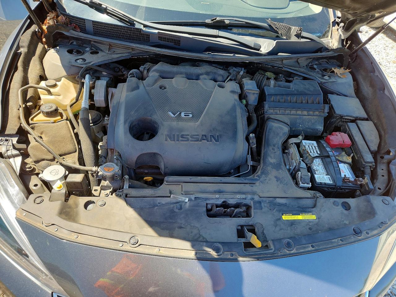 Nissan Maxima Platinum