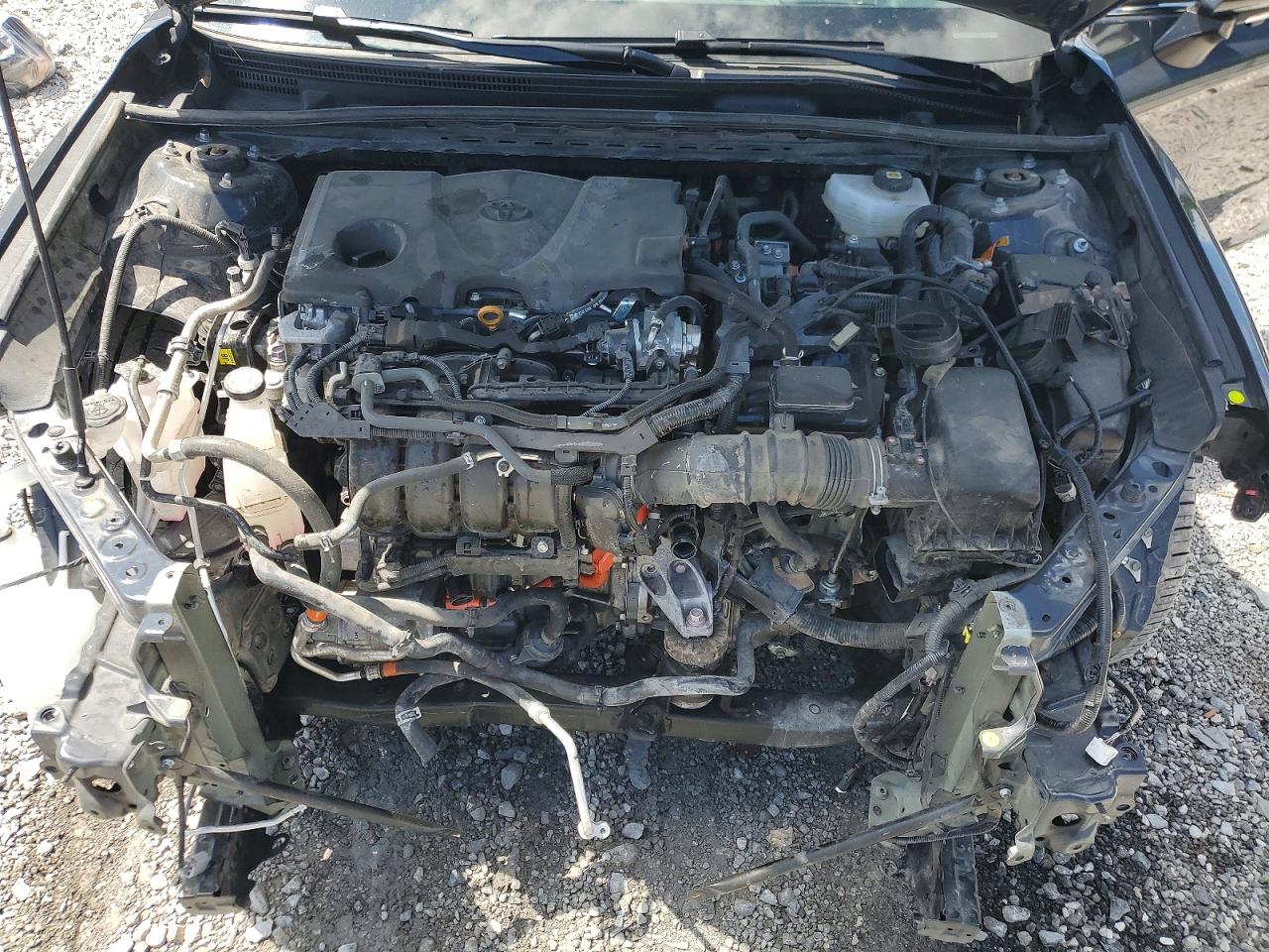 Toyota Camry Xle