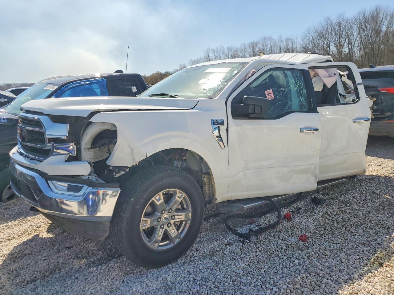 Salvage Ford F-150 Image