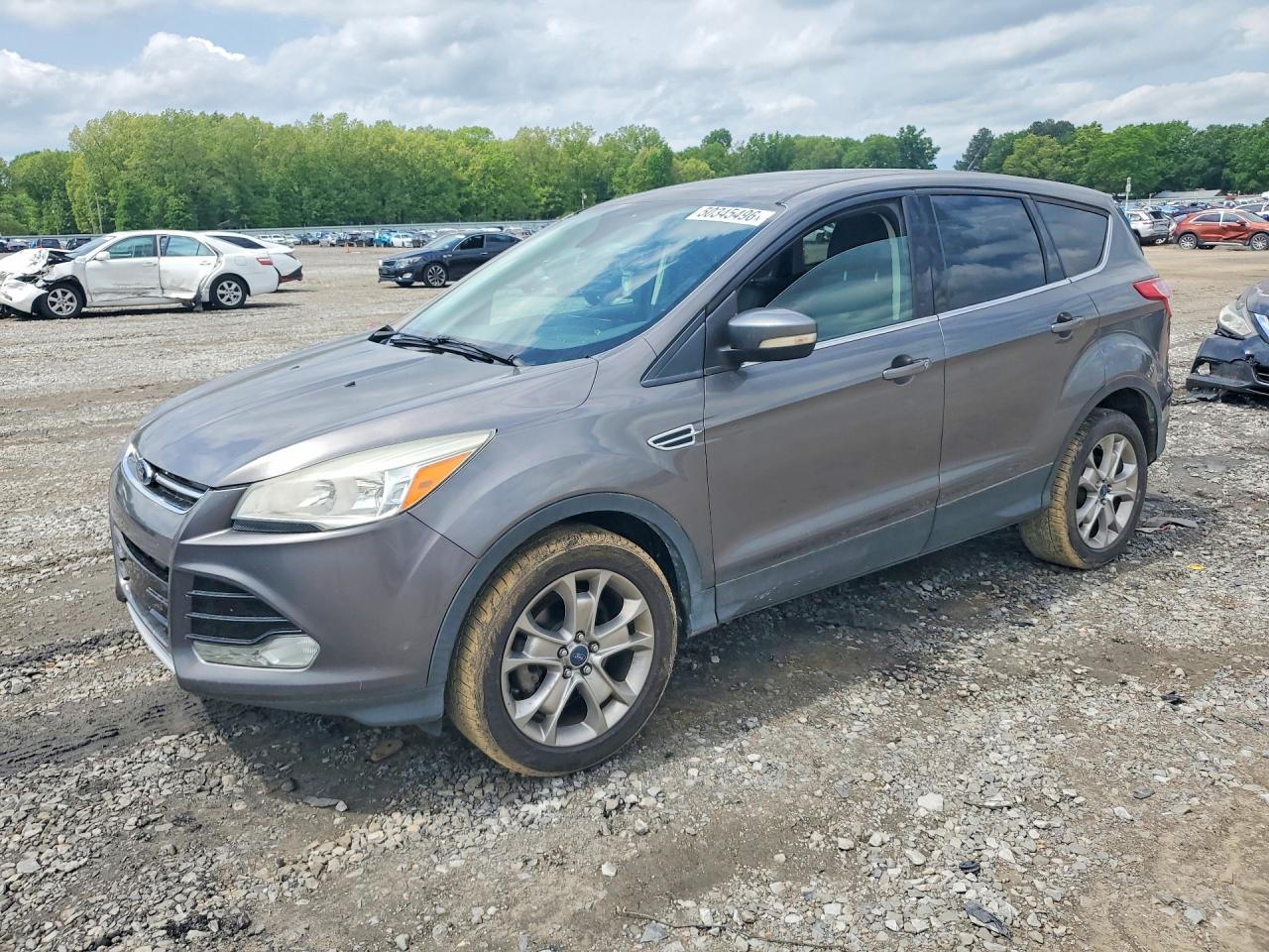 Salvage Ford Escape Image