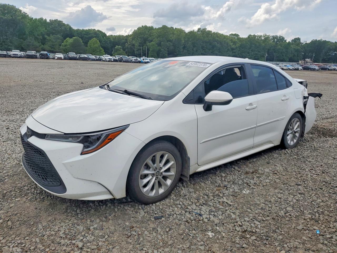 Salvage Toyota Corolla Image