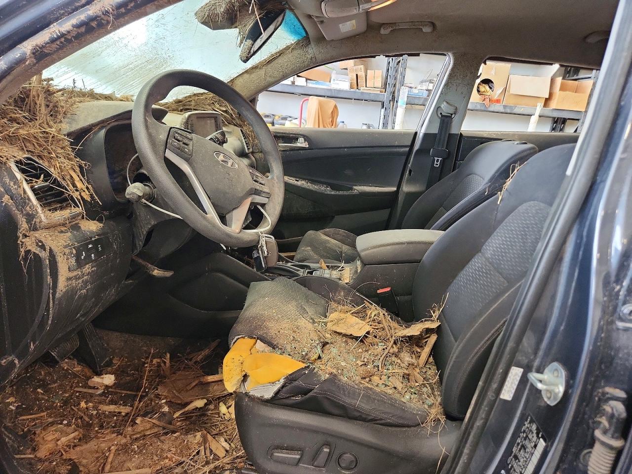 Hyundai TUCSON Value