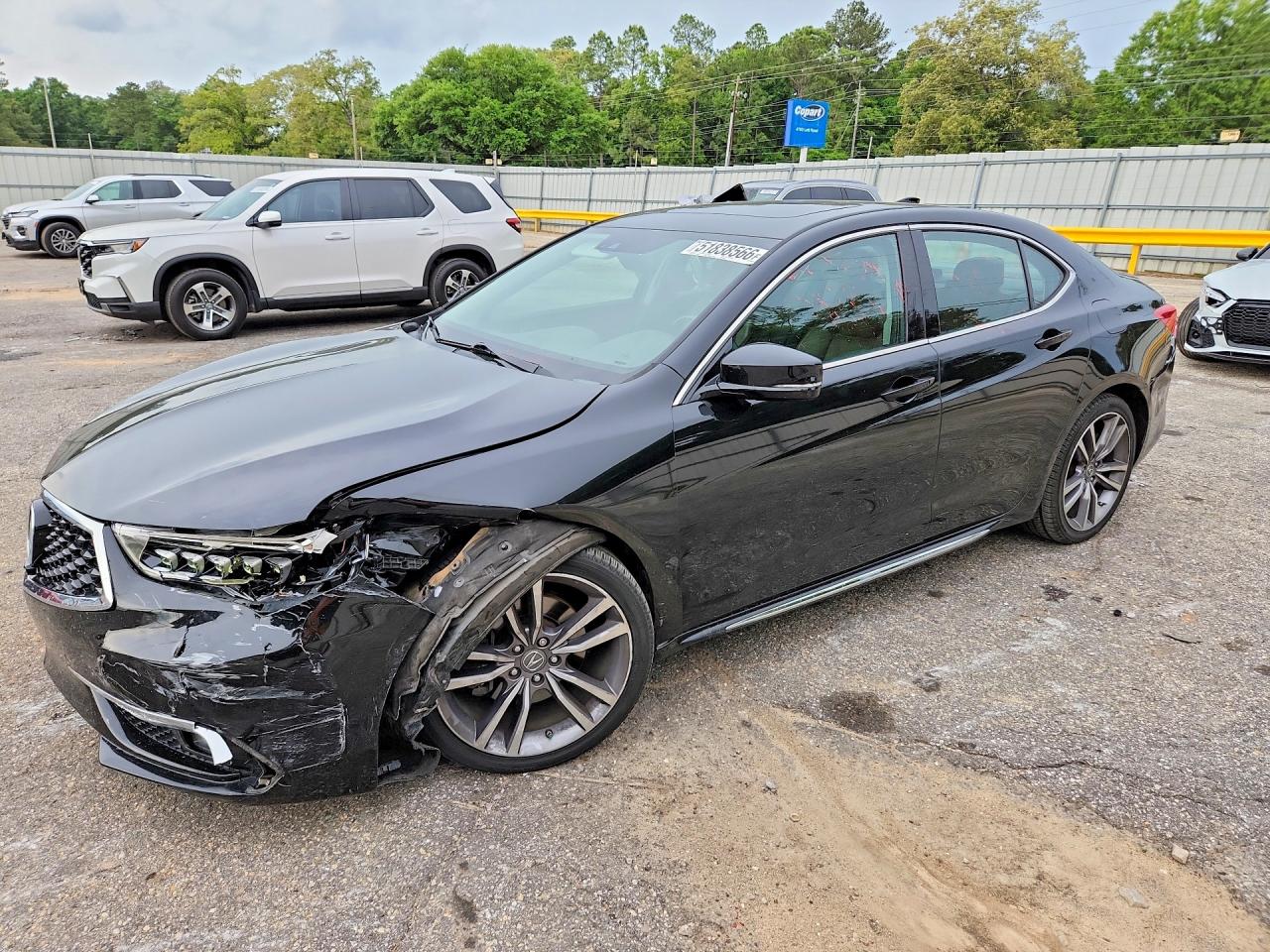 Salvage Acura TLX Image