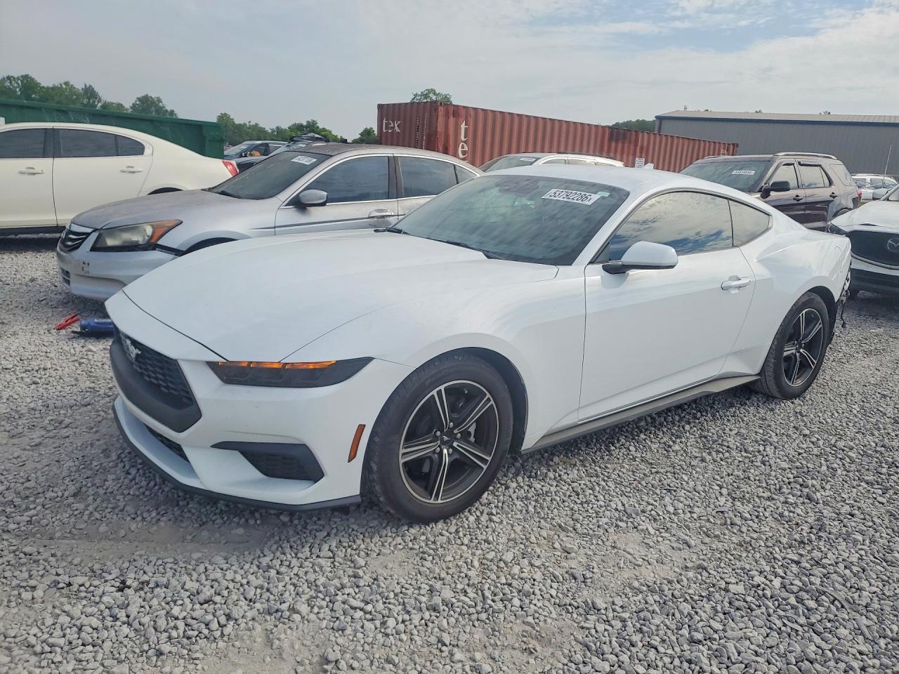 Salvage Ford Mustang Image