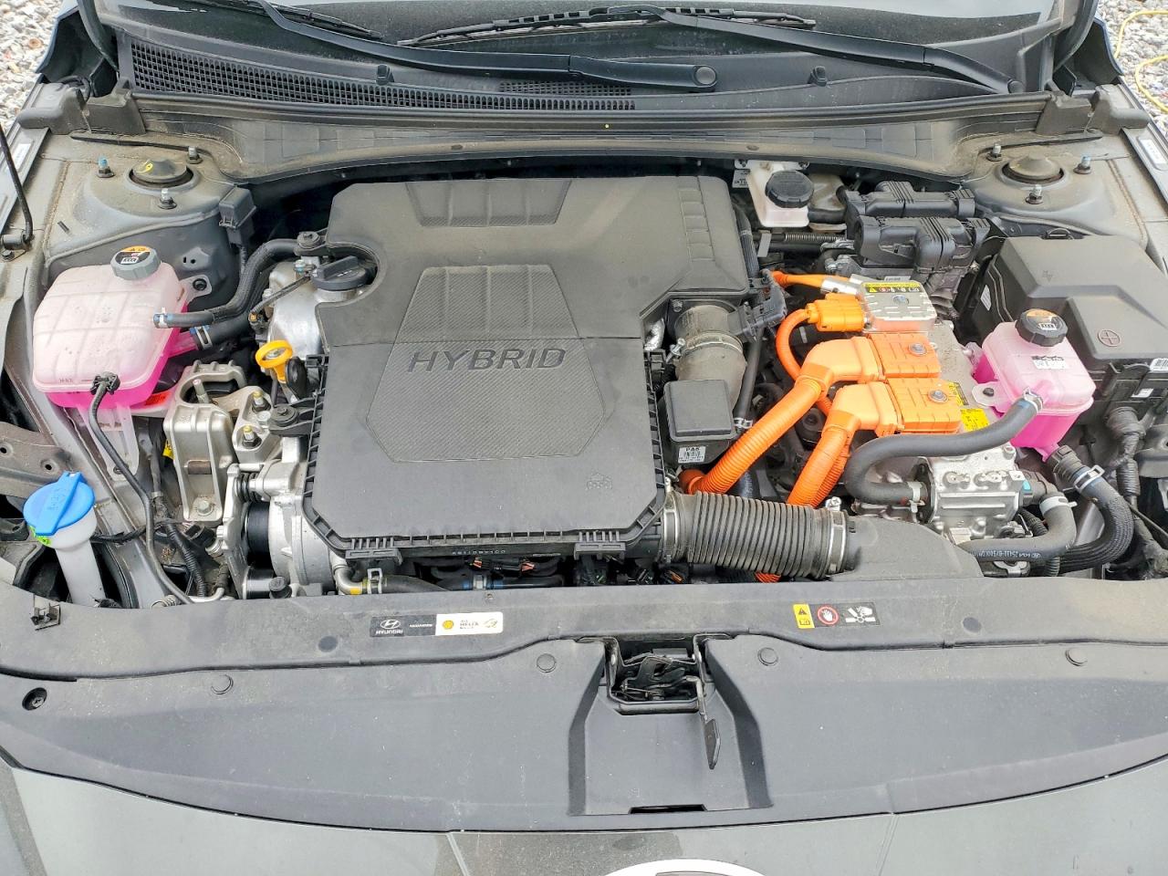 Hyundai ELANTRA Blue