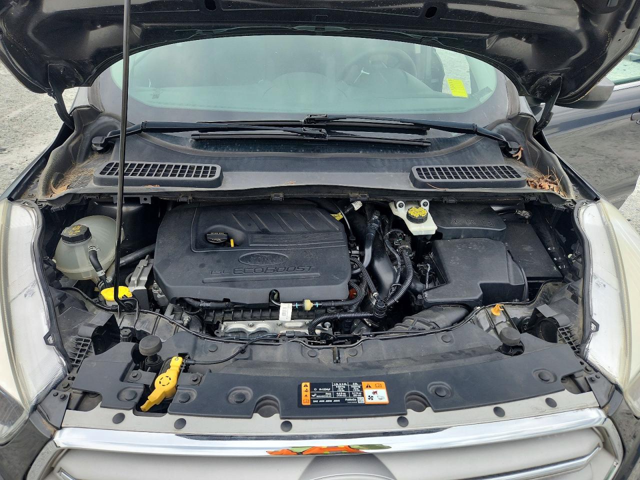 Ford Escape Se
