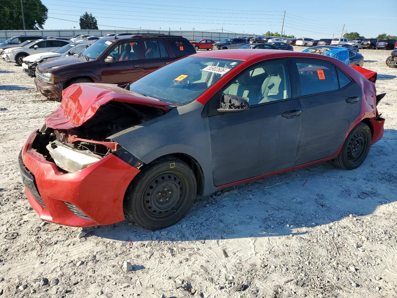 Salvage Toyota Corolla Image