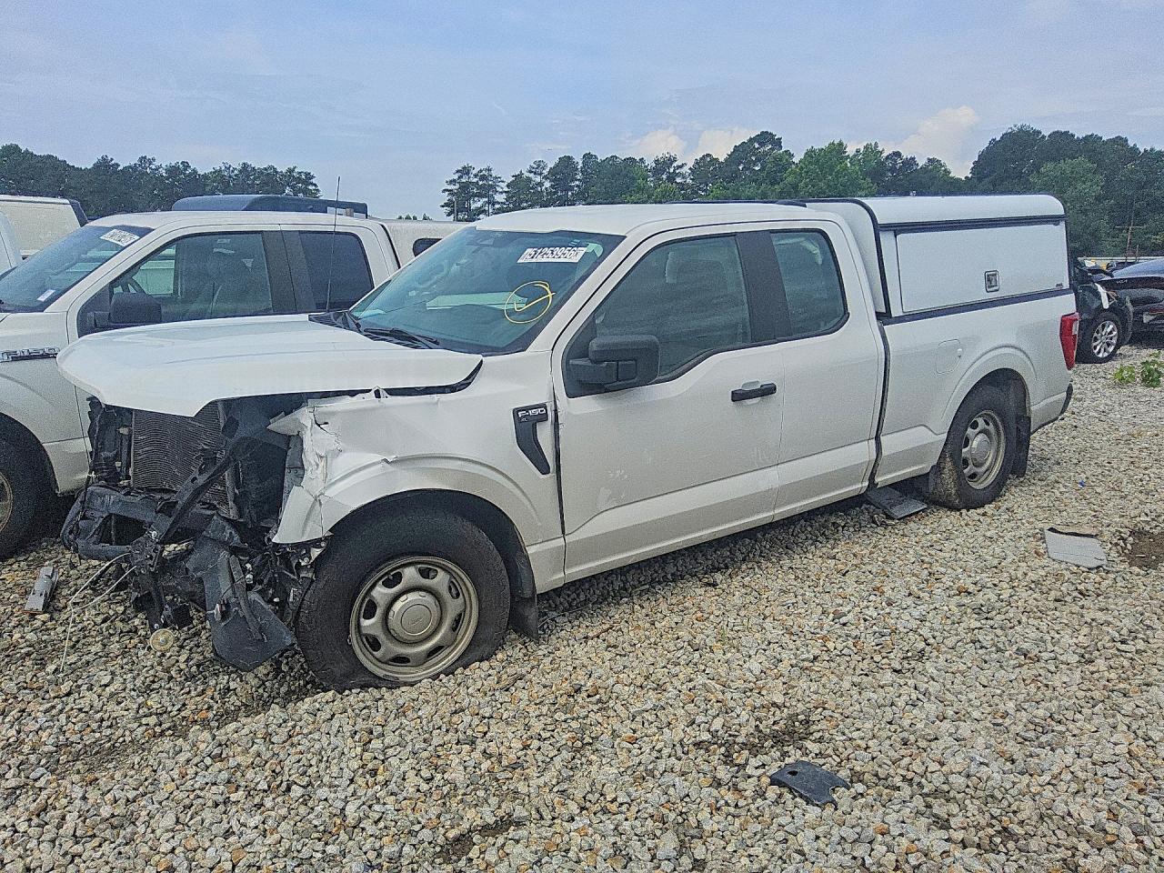 Salvage Ford F-150 Image