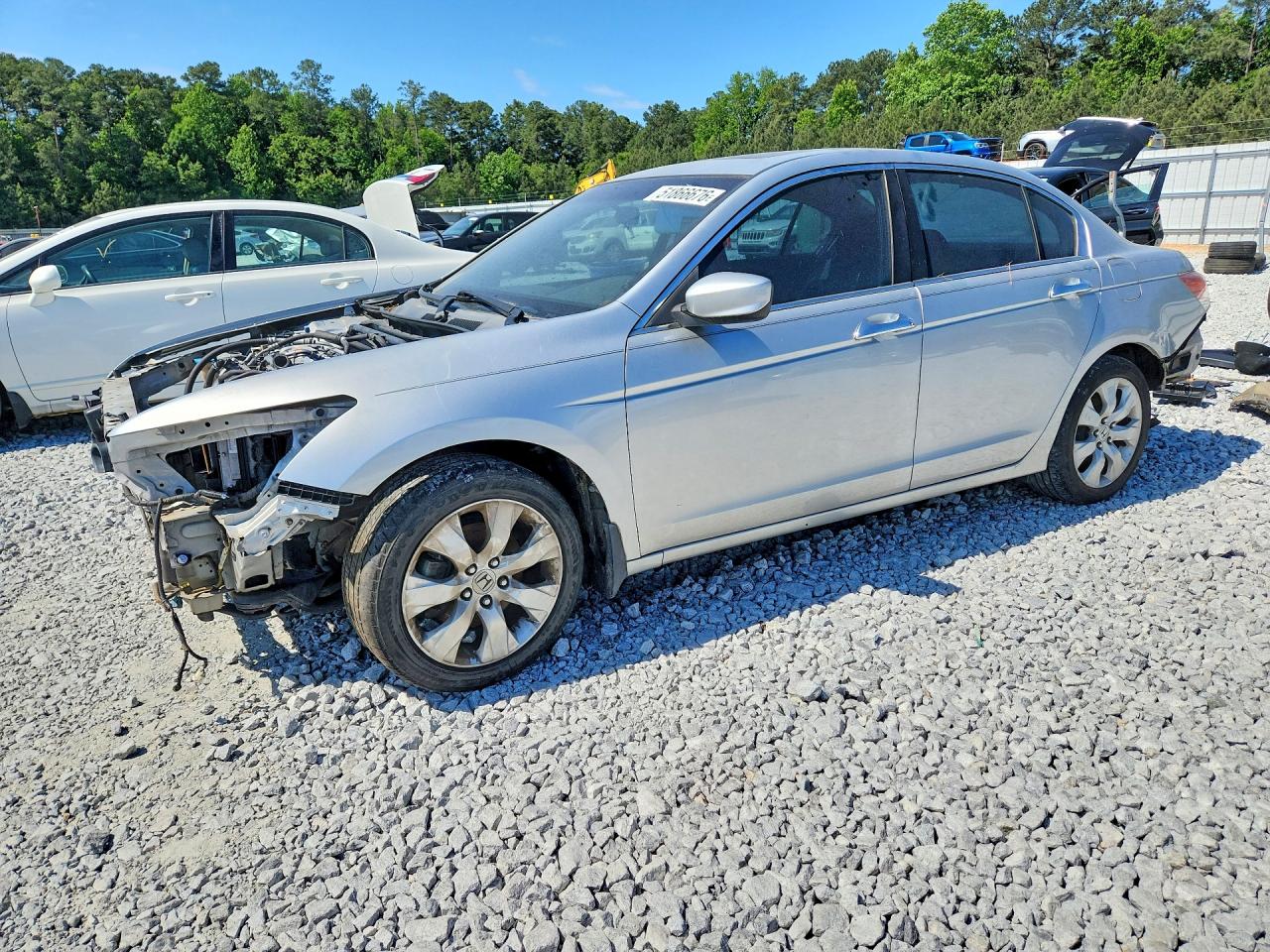Salvage Honda Accord Image