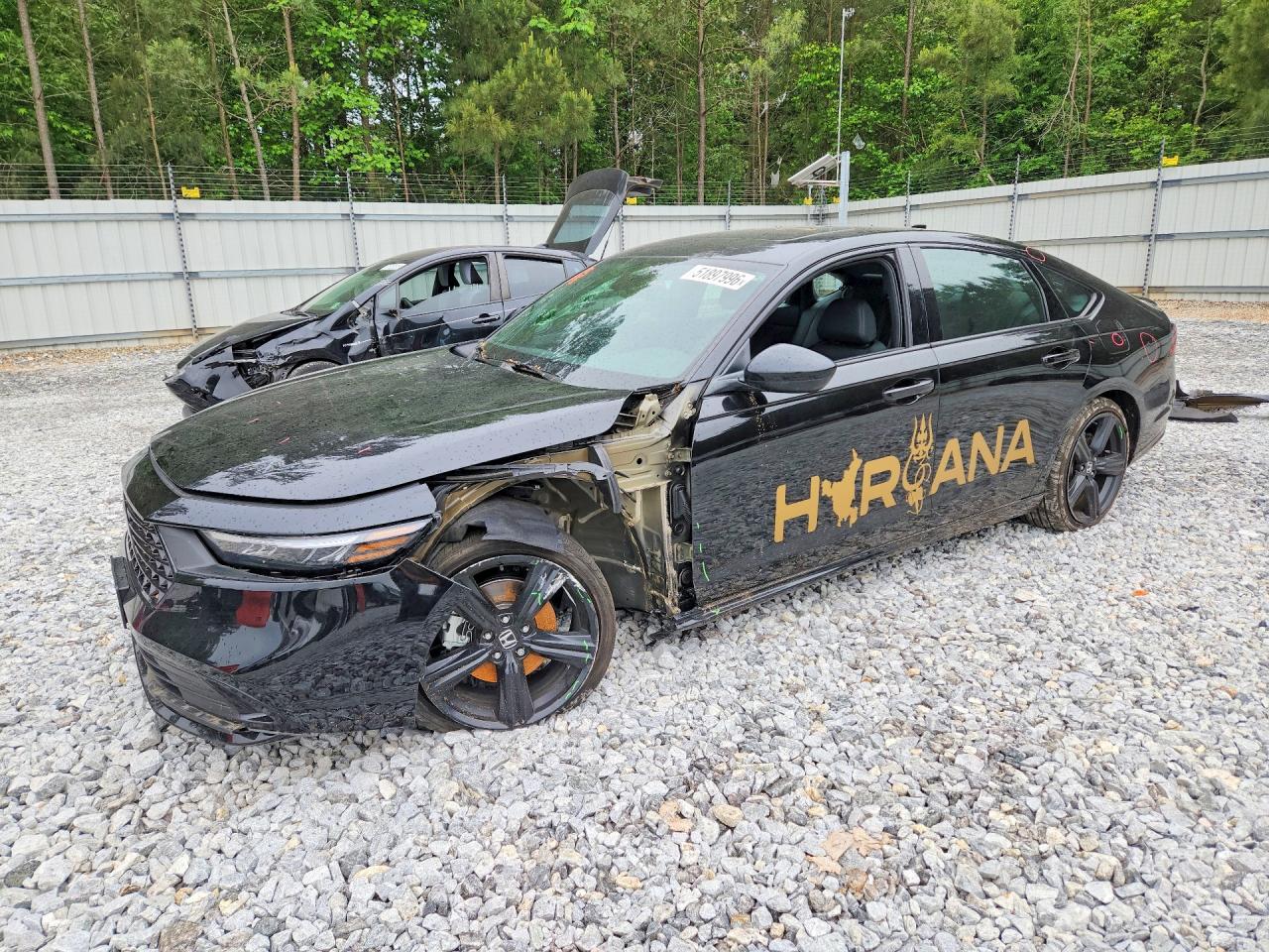 Salvage Honda Accord Image