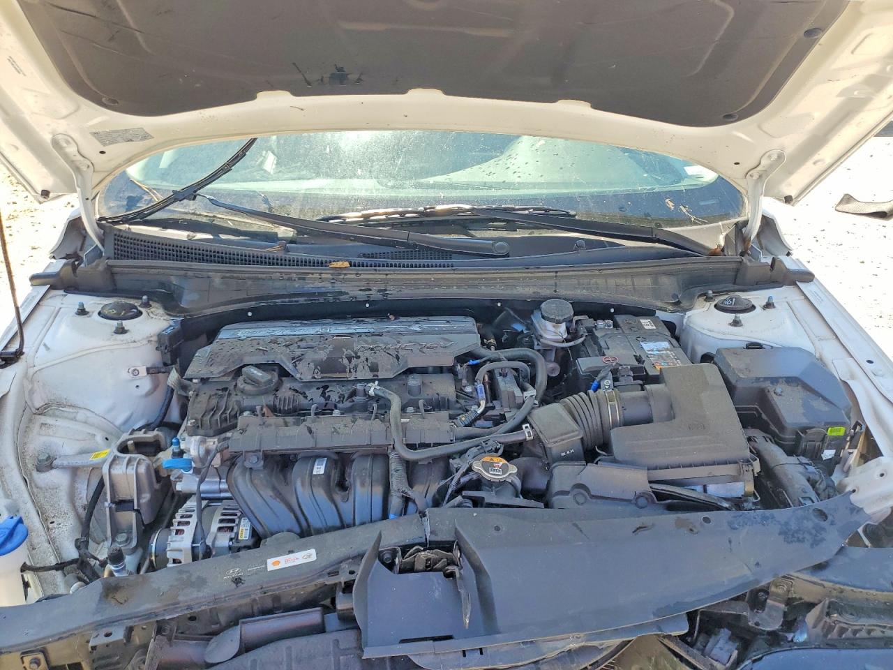 Hyundai ELANTRA Limited