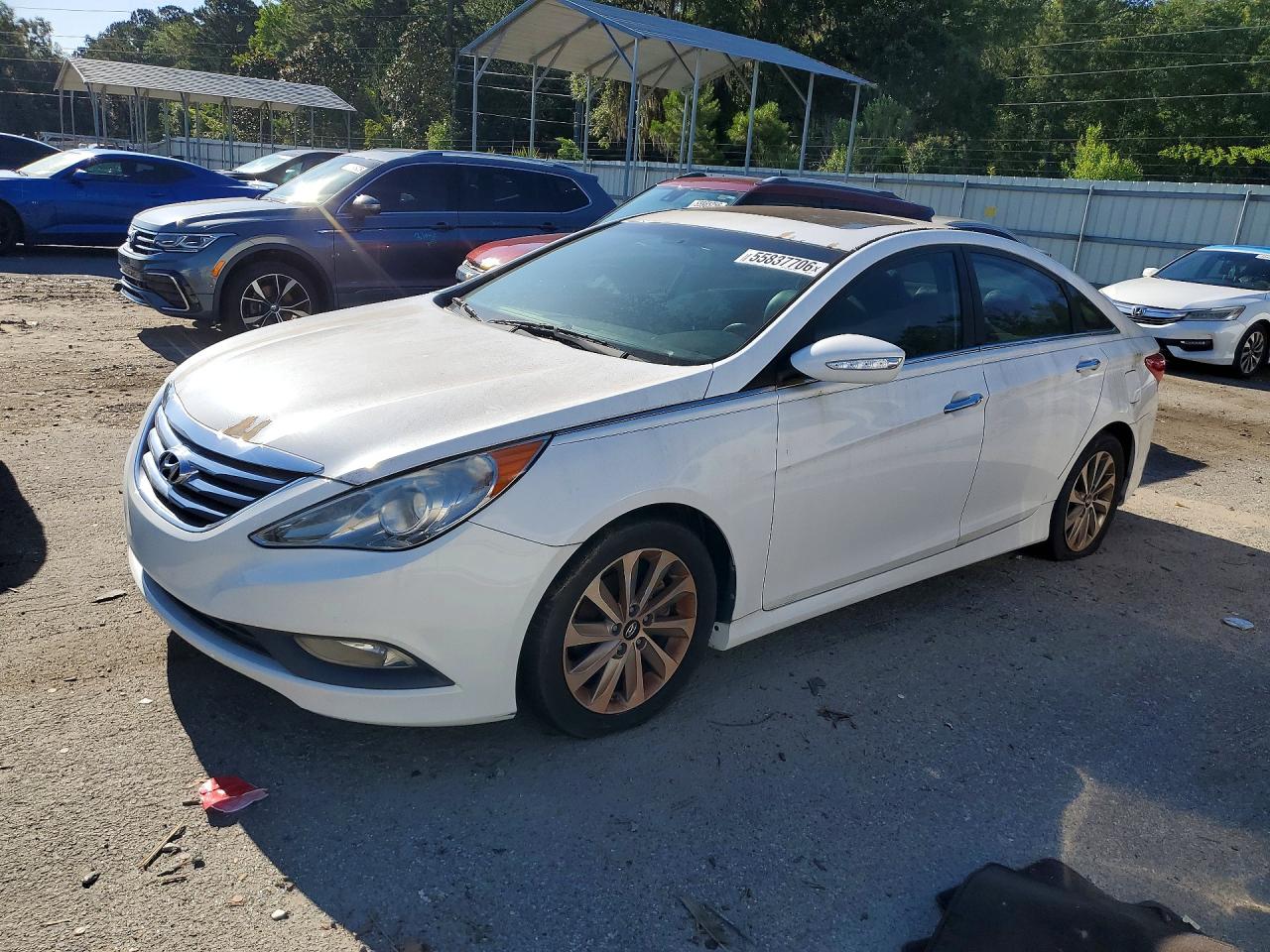 Salvage Hyundai SONATA Image