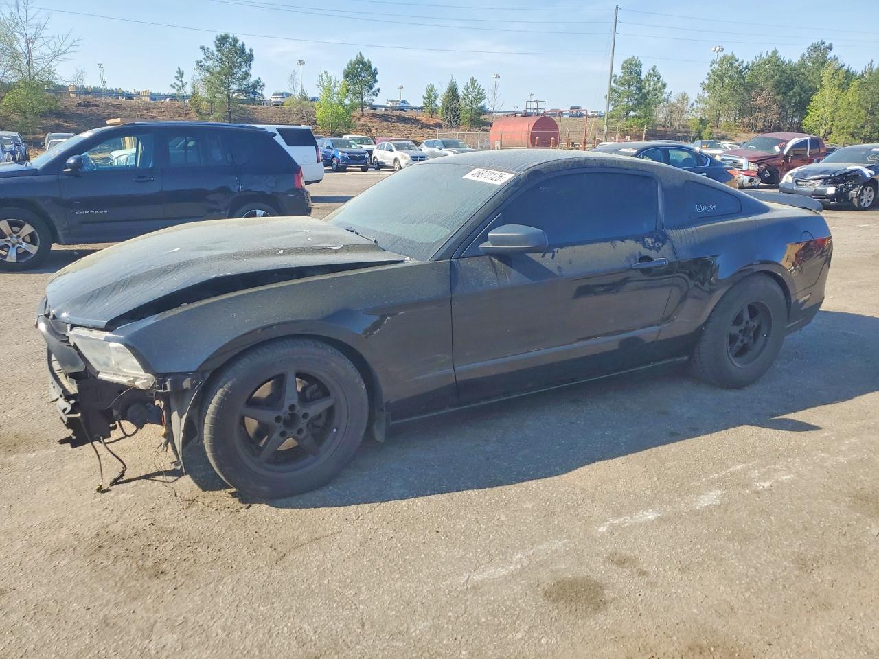 Salvage Ford Mustang Image
