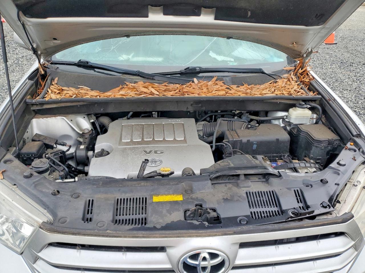 Toyota Highlander Plus