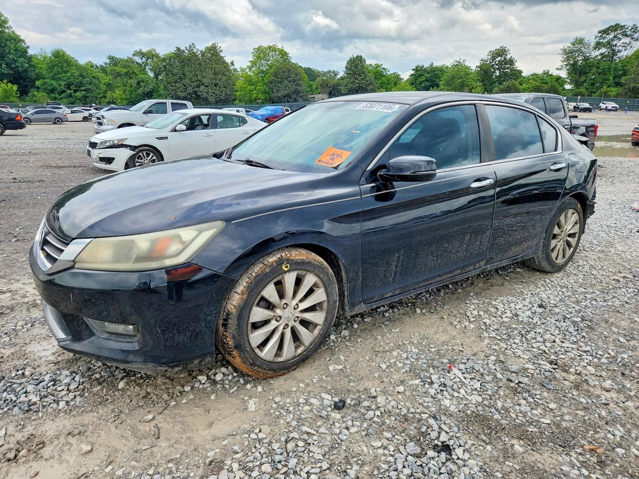 Salvage Honda Accord Image