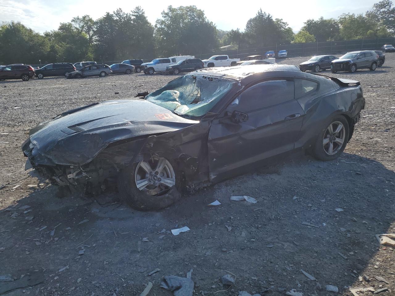 Salvage Ford Mustang Image