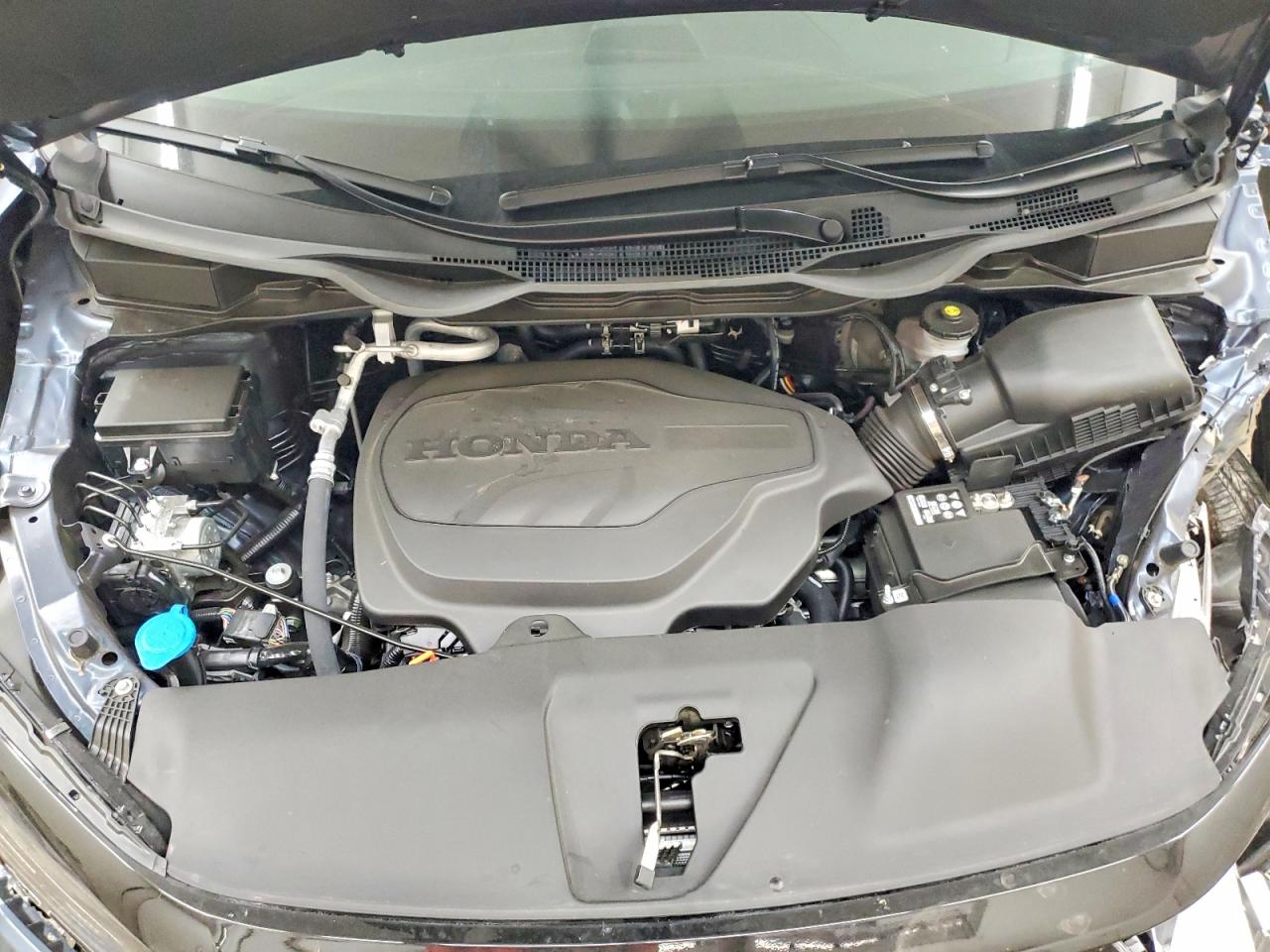 Honda Odyssey Elite