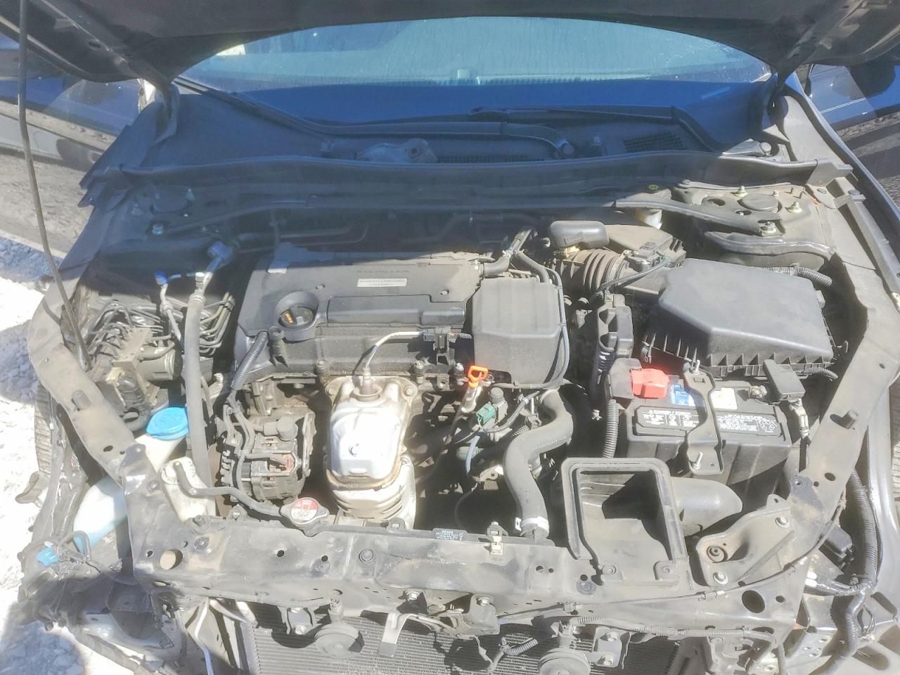 Honda Accord Sport Special Edition