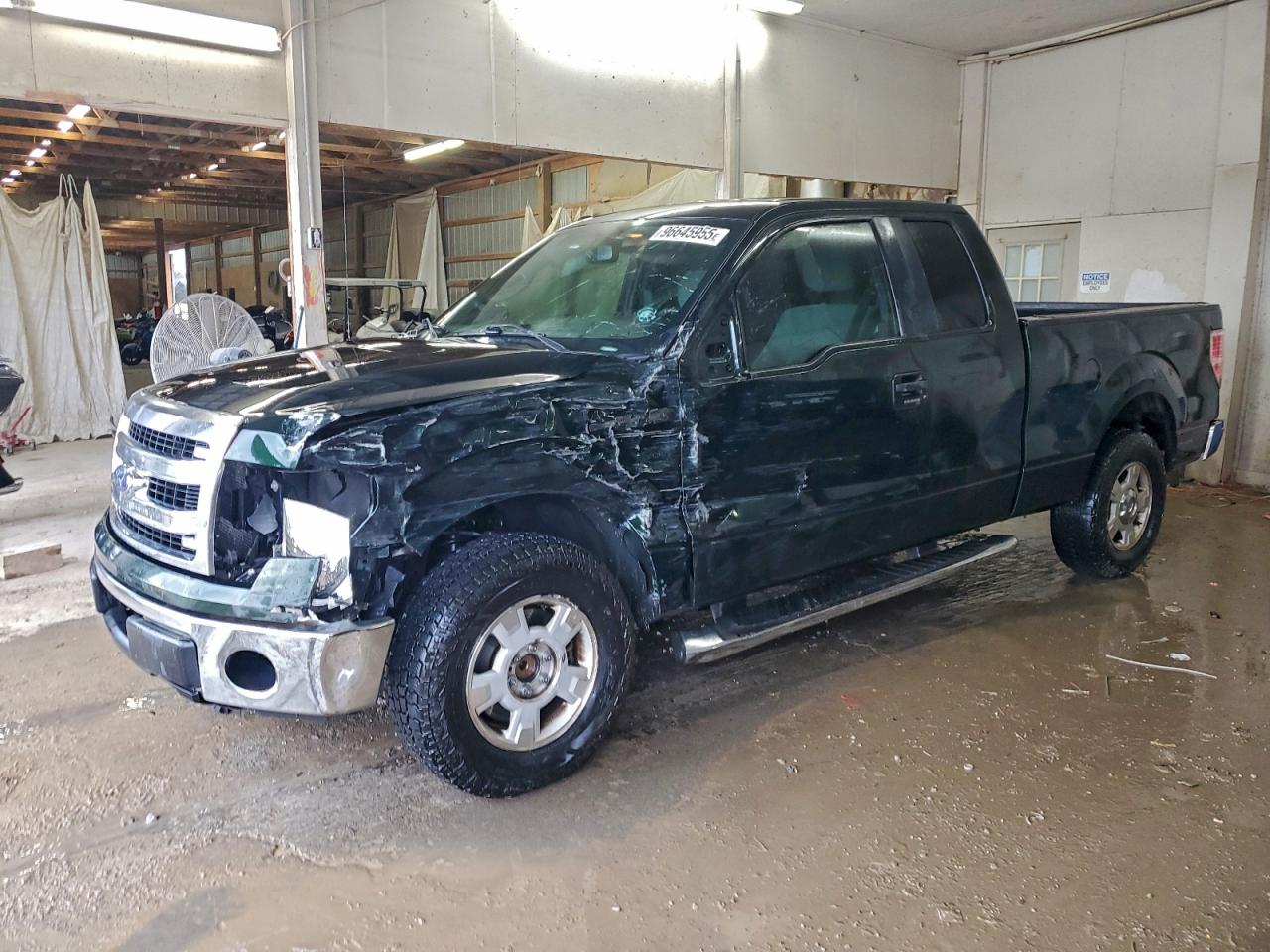 Salvage Ford F-150 Image