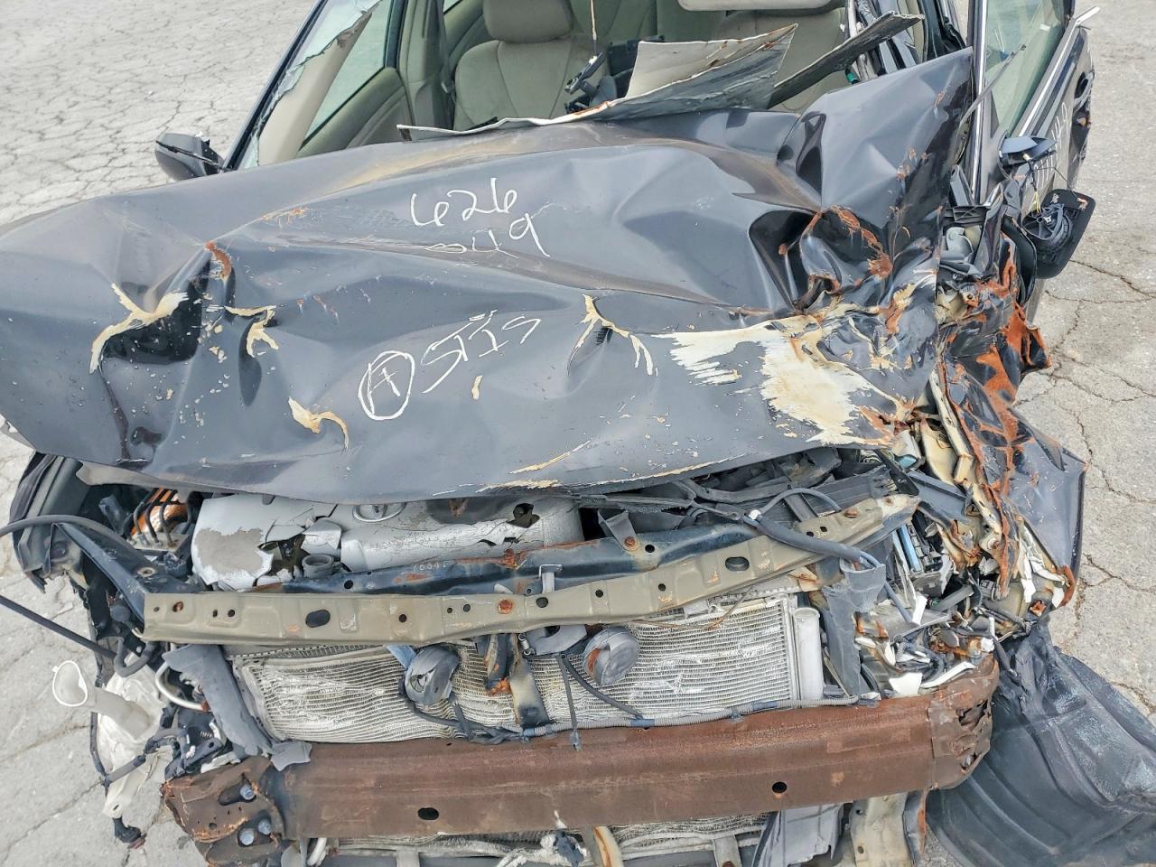 Toyota Camry Xle V6