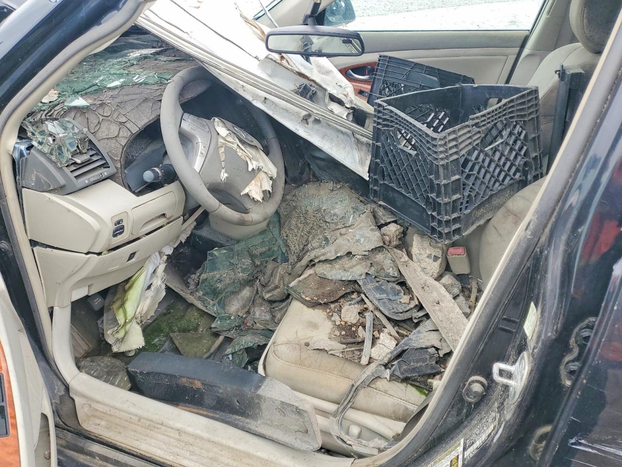 Toyota Camry Xle V6